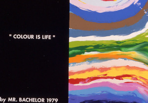 'Colour is life' by Mr. Bachelor 1979